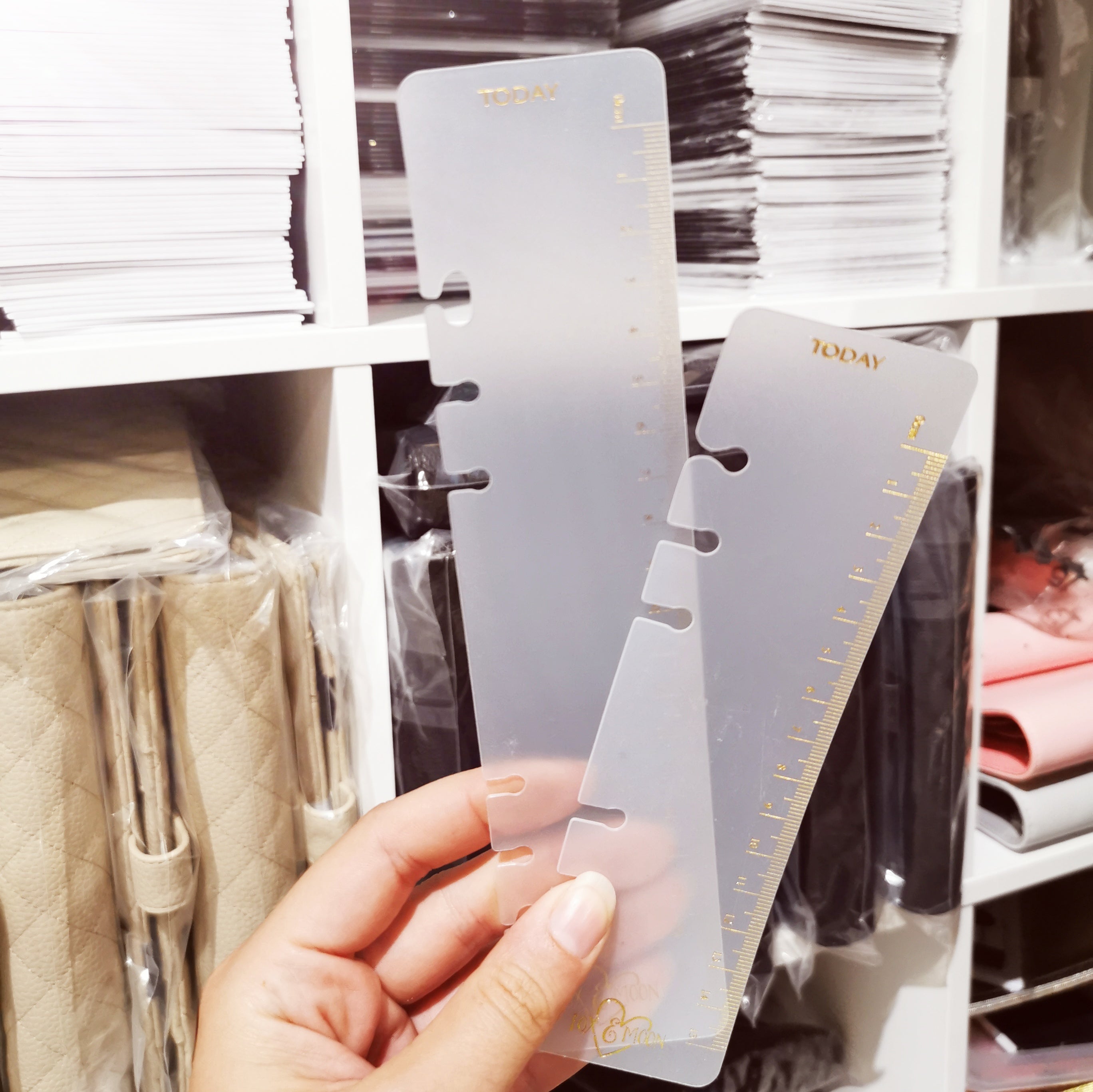 Flagship Mini Ruler | Bookmark Ruler | Day Designer